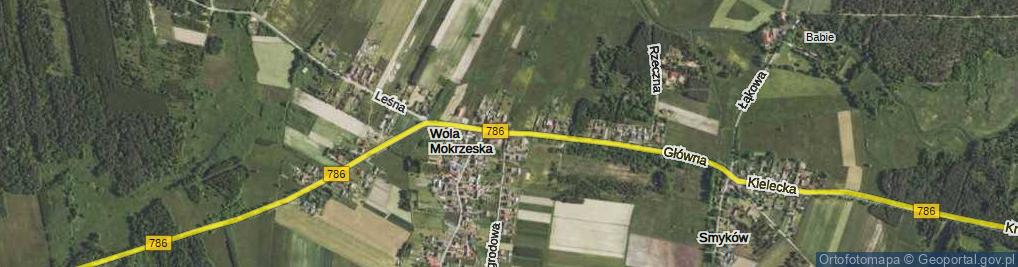 Zdjęcie satelitarne Główna ul.